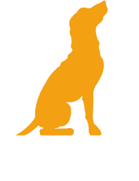 Logo Educanis